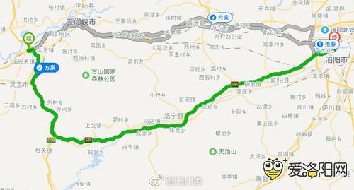 4、返程时可直接打车返回洛阳。