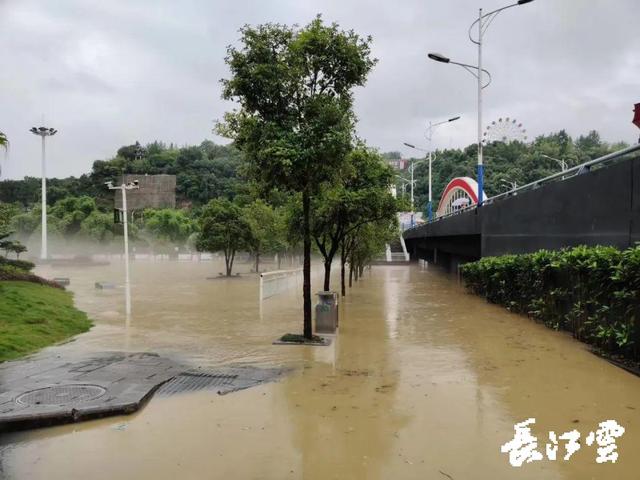 湖北恩施暴雨多地受灾情况(湖北恩施暴雨引发严重内涝)(1)