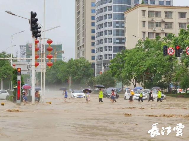 湖北恩施暴雨多地受灾情况(湖北恩施暴雨引发严重内涝)(4)