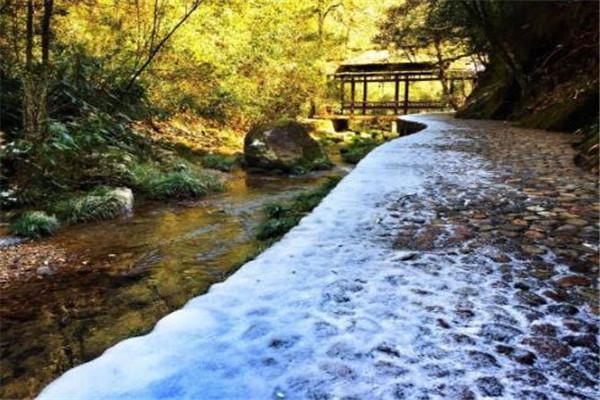 丽水必去的十个景点（丽水十大好玩的旅游地）(10)