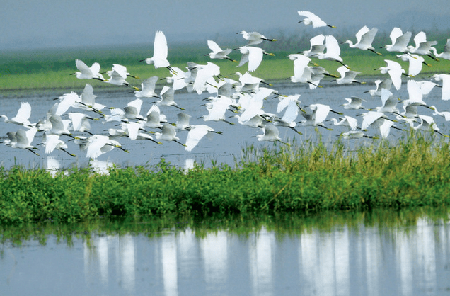 岳阳市有多少人口(岳阳市各区县人口排名)