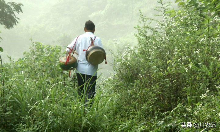 四川有哪些风俗(一文了解四川的4个传统习俗)