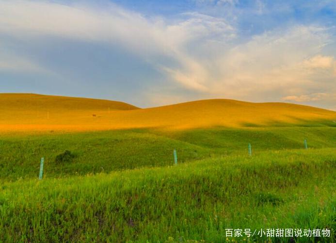 二、赤峰草原风景区