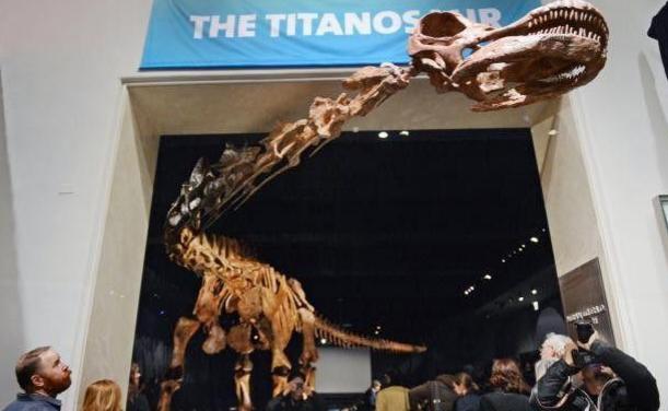 世界上最大的恐龙阿根廷龙（最大的恐龙）