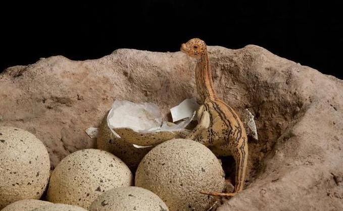 世界上最大的恐龙阿根廷龙（最大的恐龙）