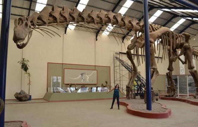 世界上最大的恐龙阿根廷龙（最大的恐龙）