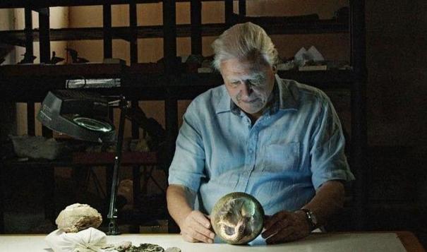 世界上最大的恐龙阿根廷龙（最大的恐龙）