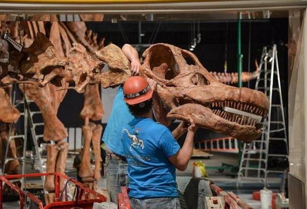 世界上最大的恐龙阿根廷龙（最大的恐龙）