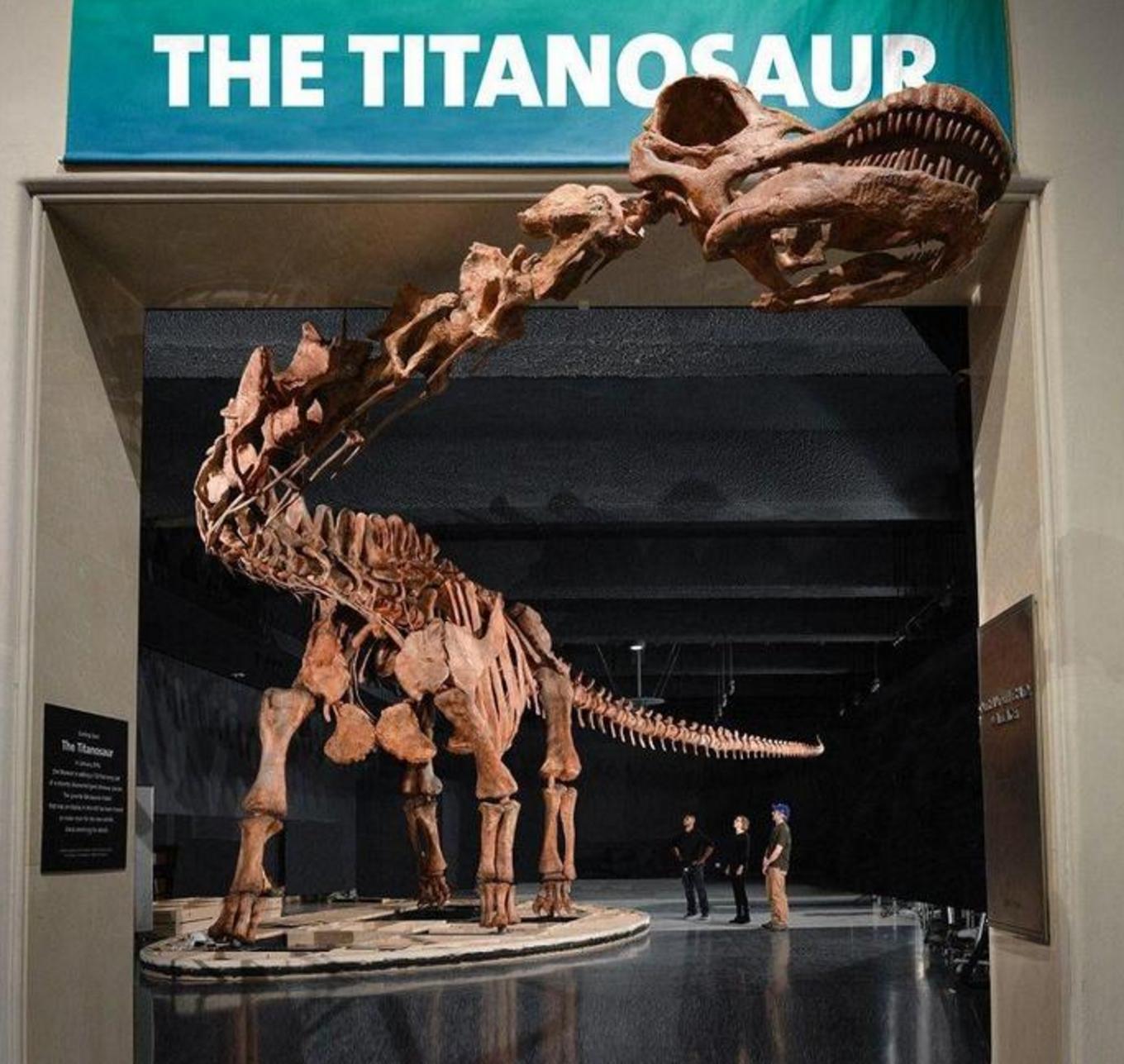 世界上最大的恐龙阿根廷龙（最大的恐龙）