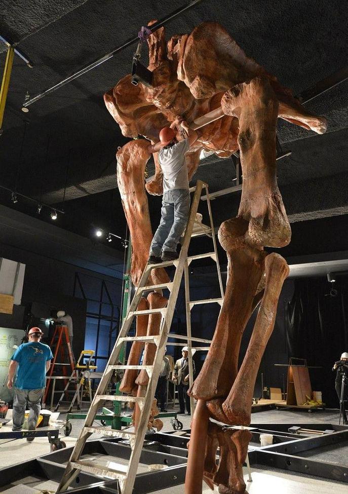 世界上最大的恐龙阿根廷龙（最大的恐龙）