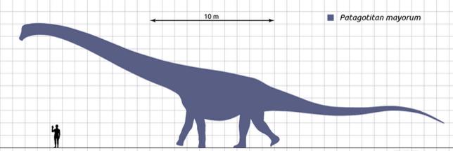 世界上最大的恐龙阿根廷龙（最大的恐龙）