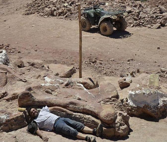 世界上最大的恐龙阿根廷龙（最大的恐龙）