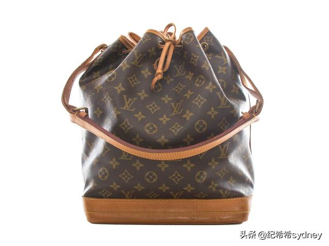 lv最值得入手的十款包包（希希说大牌LV的这6只包）(16)