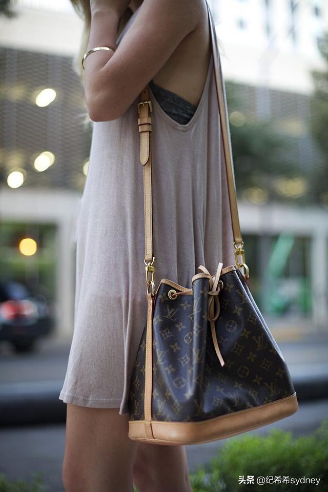 lv最值得入手的十款包包（希希说大牌LV的这6只包）(19)