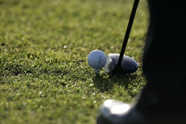 进入pga的条件（美国PGA顶尖教练新西兰PGA认证）(2)