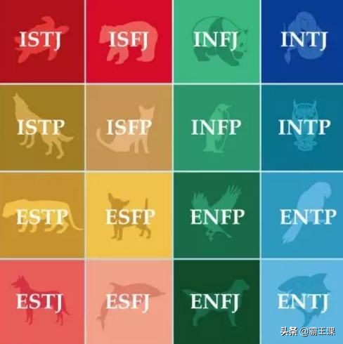 16型人格对应的职业（十六型人格测试的方法）