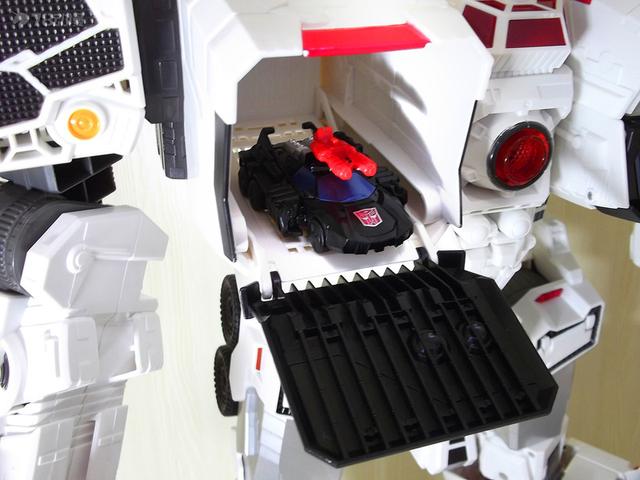 猛大帅的卫兵（力挽狂澜的巨人）(15)