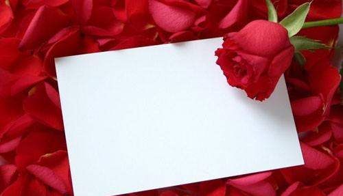 520送花贺卡怎么写,送给女朋友花送什么花图4