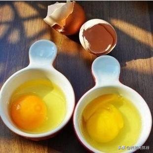受精蛋和未受精的普通蛋有啥区别?能吃吗?