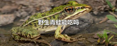 ​野生青蛙能吃吗