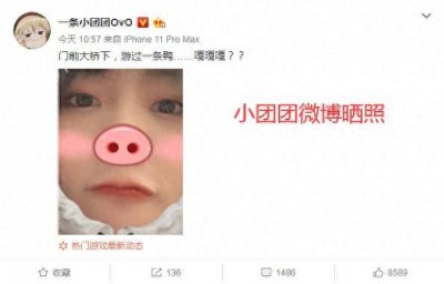 ​小团团微博晒照，粉丝大呼可爱，近期一姐风波没有影响到她