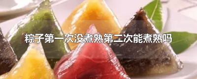 ​粽子第一次没煮熟第二次能煮熟吗怎么吃 粽子一次没煮熟,还能再煮的熟吗