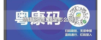 ​粤康码红色是什么 粤康码显示红色