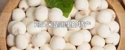 ​鸡头米什么地方的最好吃 鸡头米哪种好吃