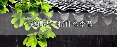 ​什么叫熟梅天气 梅子熟时是什么季节