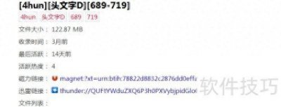 ​磁力链接下载工具：如何使用磁力下载电影