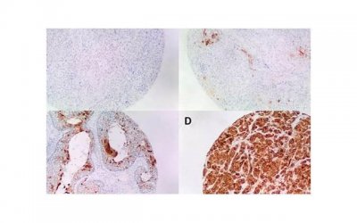 ​魅力值不断up 陌陌撩妹精彩的开场白