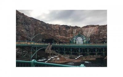 ​天热出汗多，有钱没钱，多给家人喝这汤，营养又低脂，早食早受益