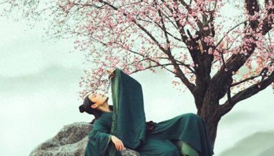 ​什么是“白名单”？