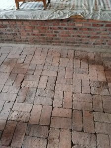 ​看头条学汉字“曱甴”