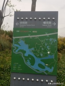 ​成都青龙湖湿地公园景色