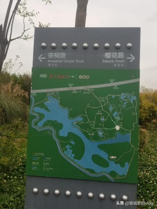 成都青龙湖湿地公园景色