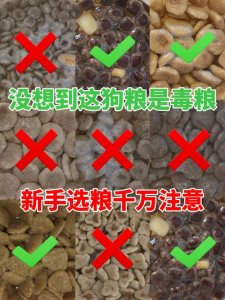 ​泡水选粮！这些毒狗粮有你家的吗？