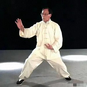 ​78岁太极拳宗师张志俊辞世，寿命背后的秘密是什么？