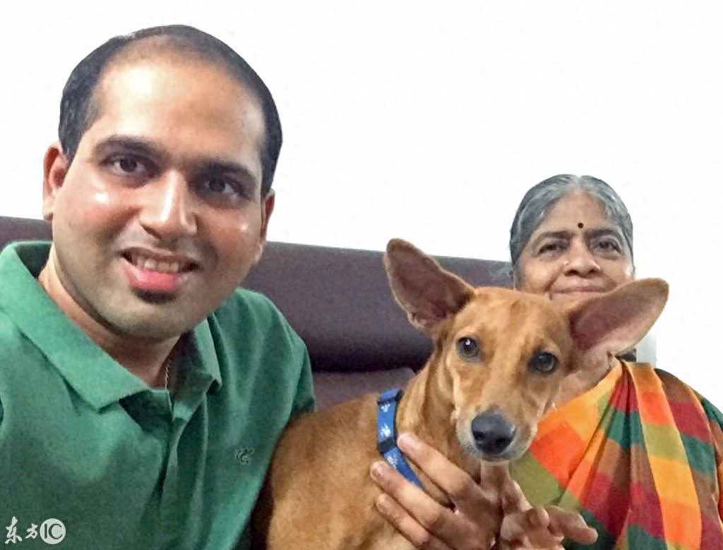 狗狗被从三层楼抛下,视频引发热议,狗狗最终找到归宿