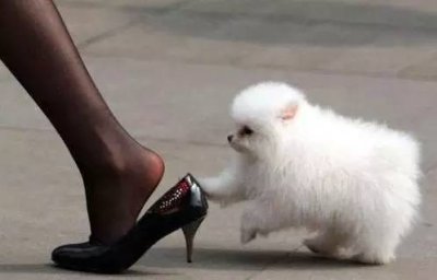 ​教你骂人不带脏字，超搞笑骂人歇后语