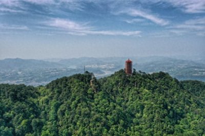 ​重庆歌乐山森林公园