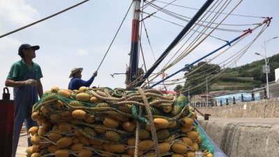 ​朱家尖：青占鱼大丰收