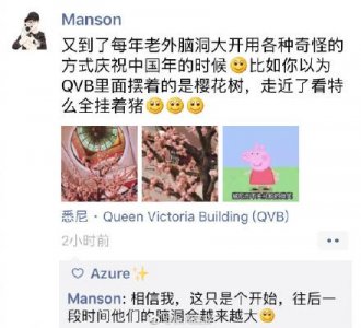 ​世界各地迎中国新年，母猪上树、二龙戏猪脑洞惊人