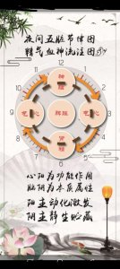 ​中医对生命功能节律生物钟认识
