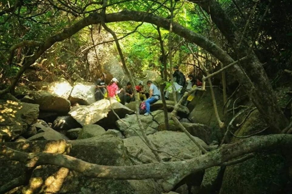 假期少得可怜？周末穿越深圳鹅公湾，看看大海，放松心情释放压力