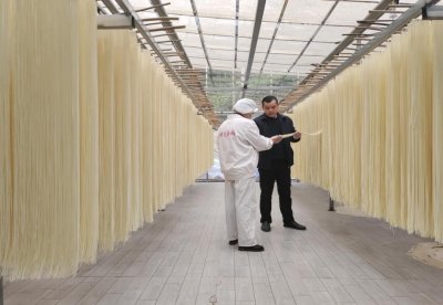 ​【担当作为好支书】胡帅：一根“太阳”面 叩开致富门