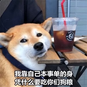 ​情人节适合单身狗发的文案